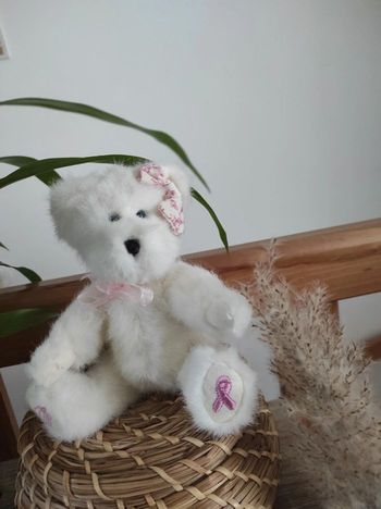 Ourson en peluche de collection Boyds