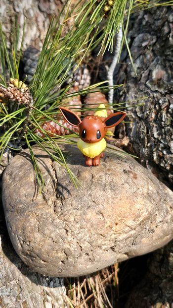 Super figurine Pokemon Nintendo Évoli