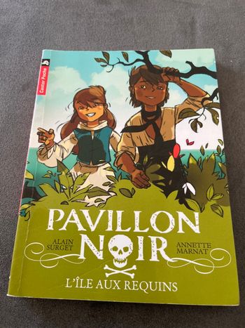Livre castor poche pavillon noir ce2 cm1