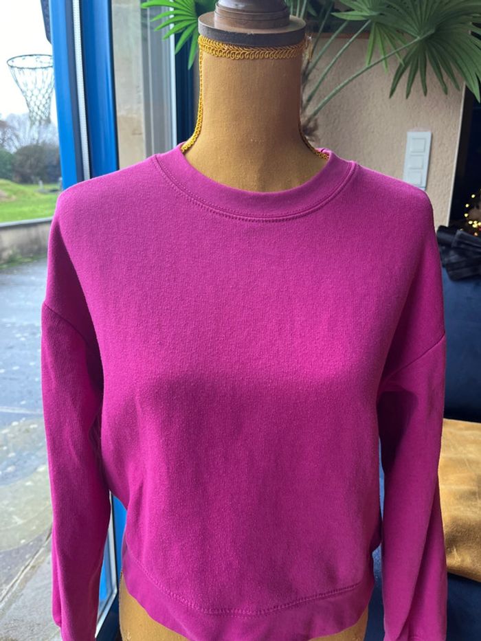 pull rose zara