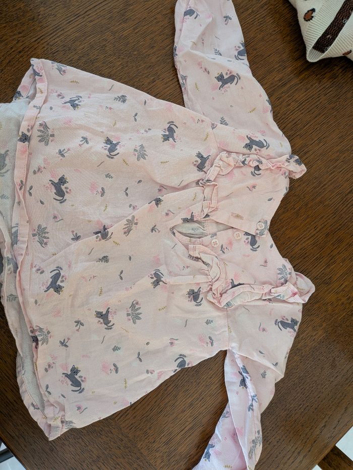 Ensemble Orchestra - photo numéro 5