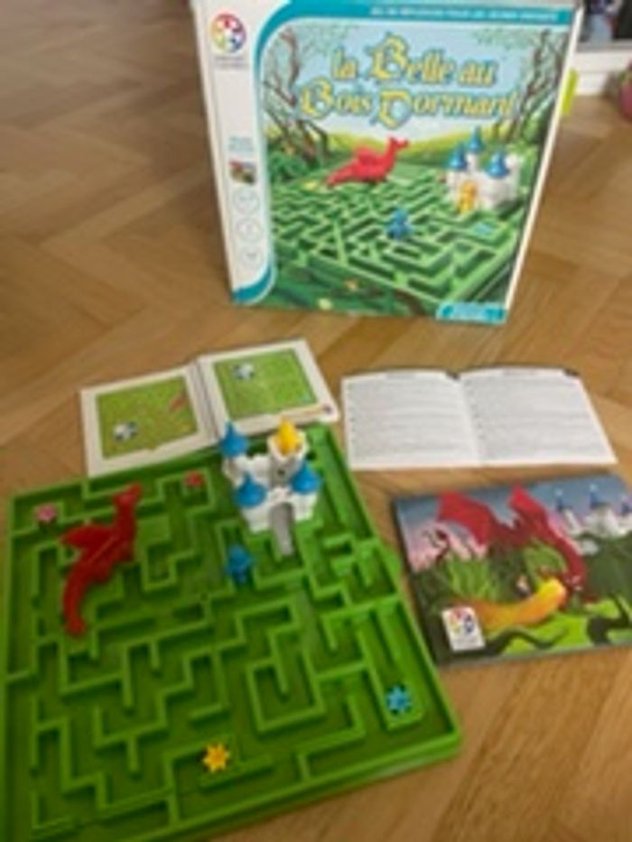 LA BELLE AU BOIS DORMANT JEU DE REFLEXION - photo numéro 2