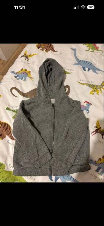 Gilet à capuche 