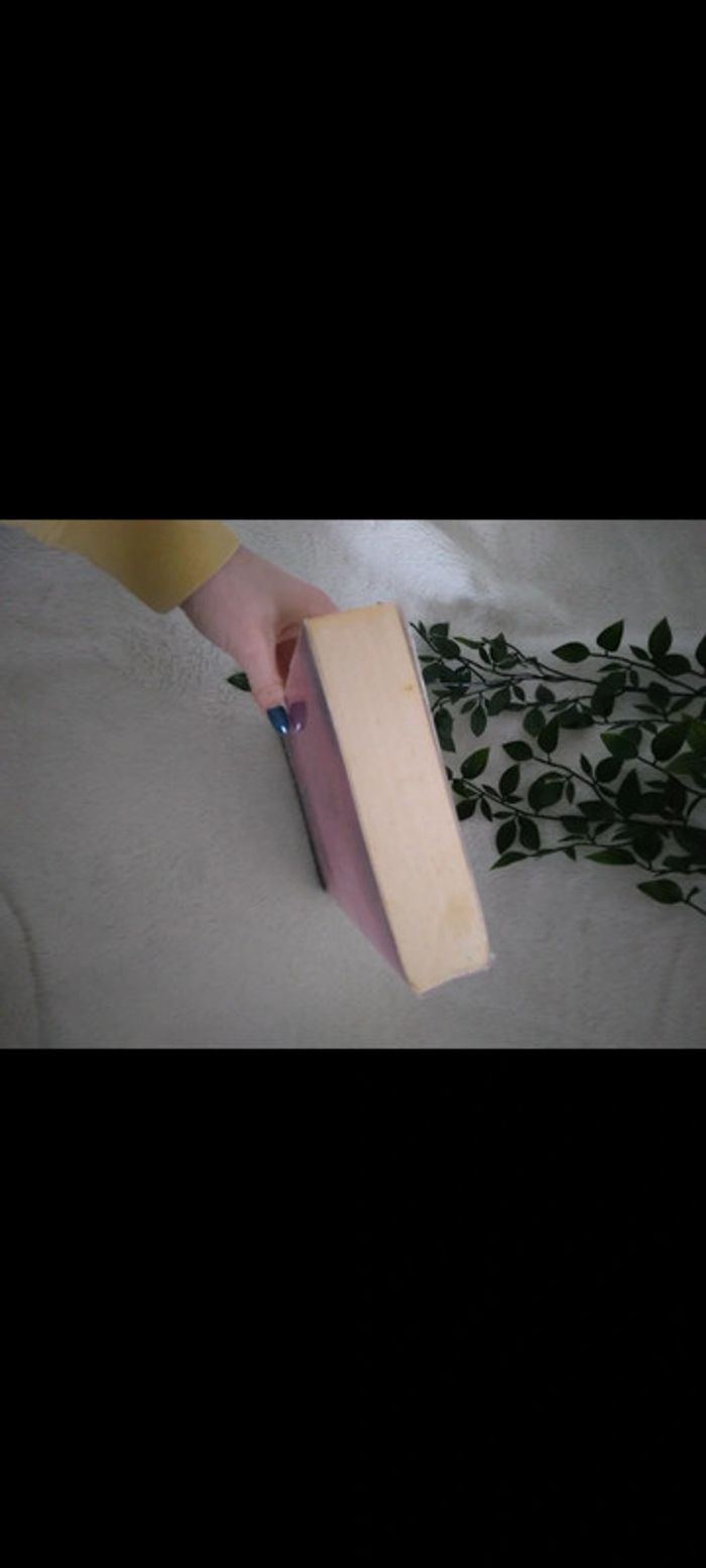 🌸Livre je te hais.. a la folie🌸 - photo numéro 4