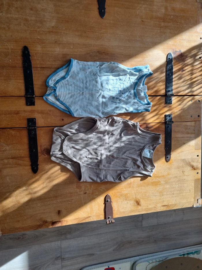 Lot 2 bodies