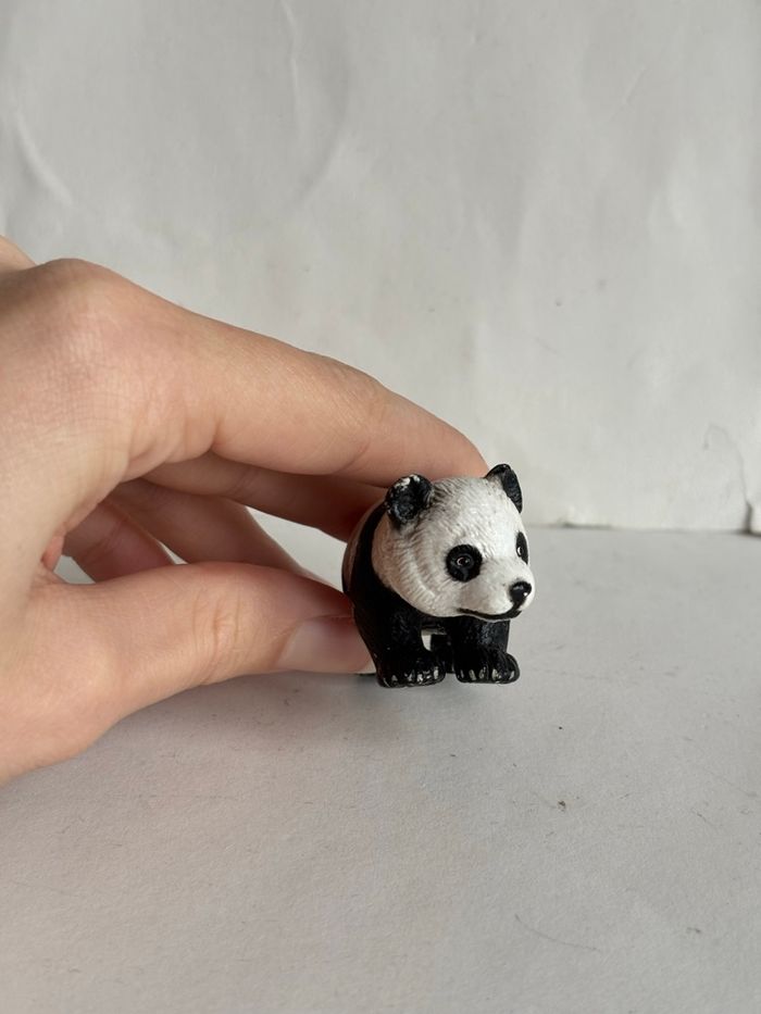 Bébé panda - photo numéro 4