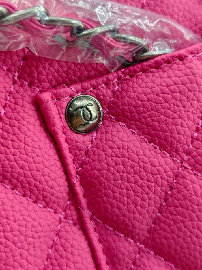 Chane1 6008 - photo numéro 6