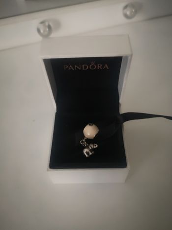 Charm Pandora