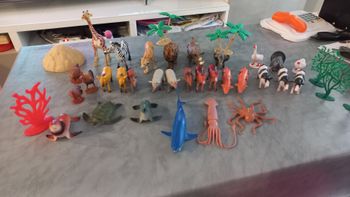 Lot d animaix divers