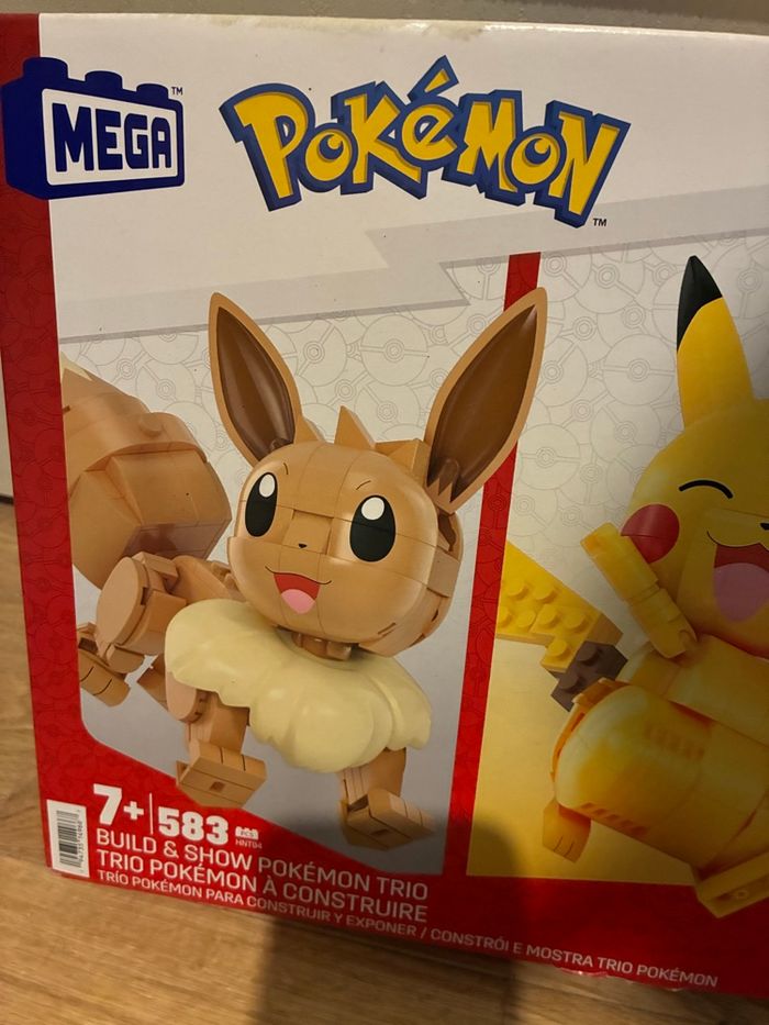 Construction Pikachu, Evoli et Tiplouf - photo numéro 2
