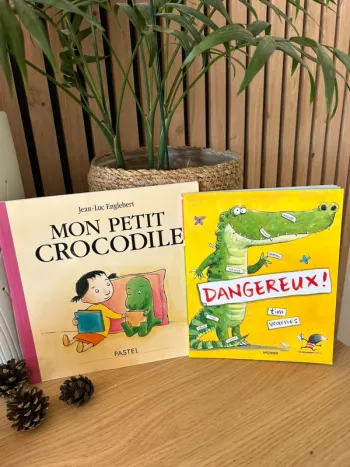 Lot de 2 livres Ecole des loisirs
