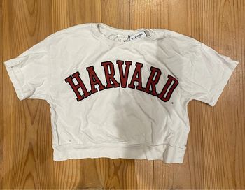 Top Zara Harvard