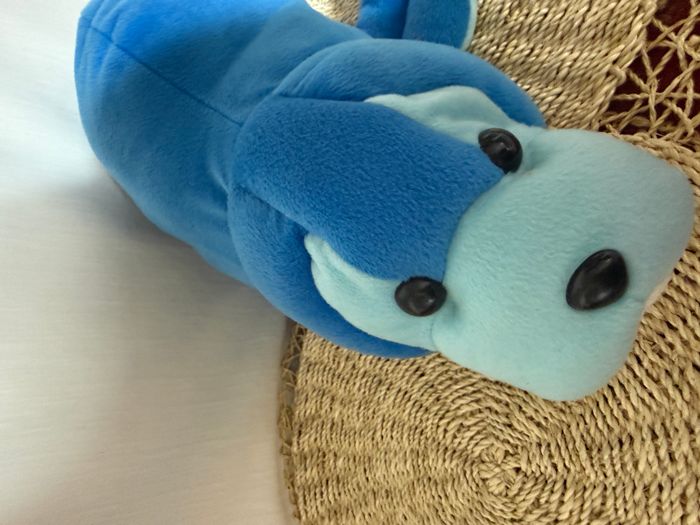 Peluche otarie phoque bleu - photo numéro 7
