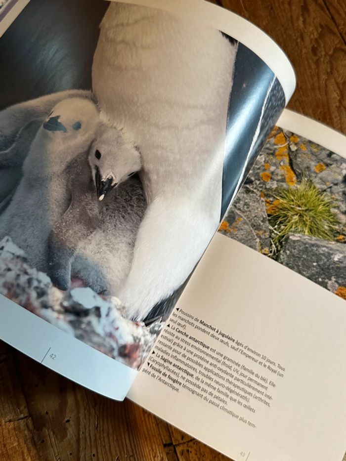 Compagnie du Ponant - Livre Voyage en Antarctique Terre de Feu Shetland du Sud beau album - photo numéro 8