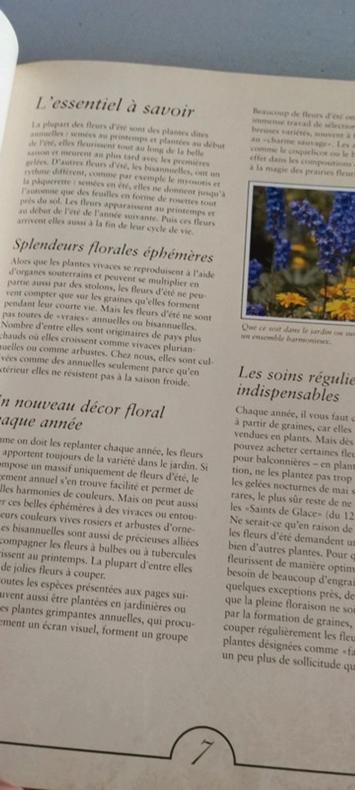 Plantes du jardin des conseils de bon papa - photo numéro 5