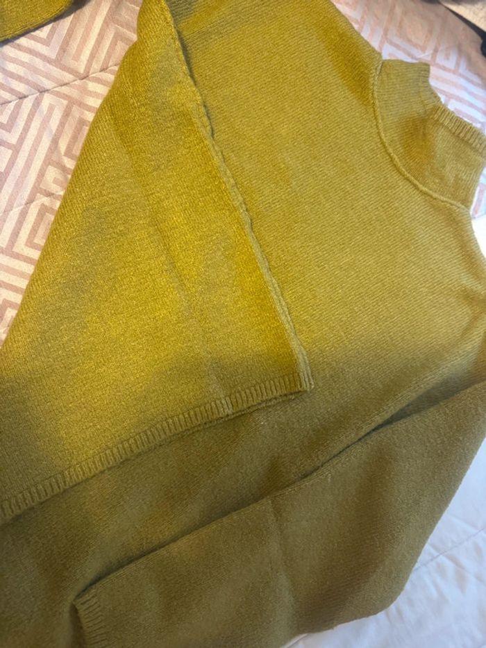 Pull mango - photo numéro 3