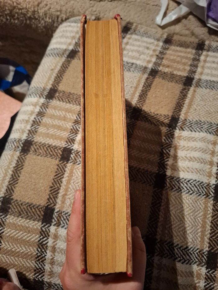 Story 1949 - photo numéro 4