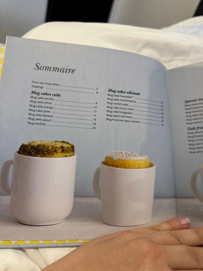 Livre mug cake - photo numéro 3