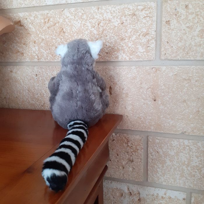Peluche Bébé Maki  Catta - photo numéro 8