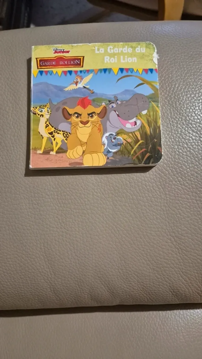 Livre roi lion 🦁