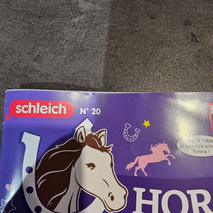 Magazine horse club N20 - photo numéro 2