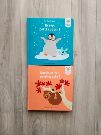Lot livres a rabats Bravo petit coquin et quelle colère petit coquin