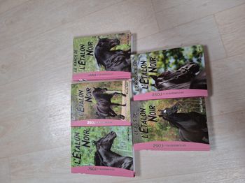 Lot de 5 livres l'étalon noir bibliothèque rose