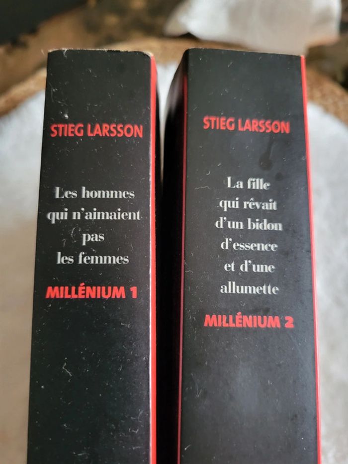 Les hommes qui n aimaient pas les femmes