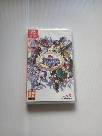 Switch princess guide