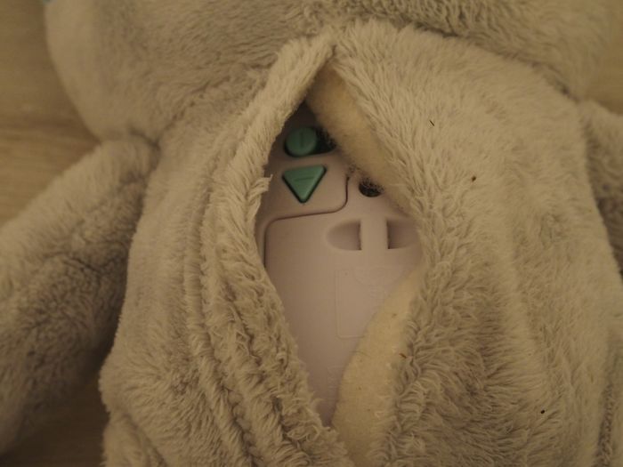 Paresseux rêves merveilleux - Interactif - photo numéro 5