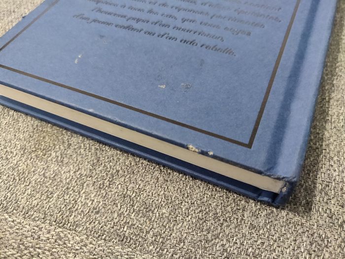 Le livre des pères formidables - 160 pages - photo numéro 3