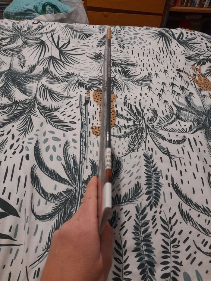 Barbe-Noire et les pirates des caraïbes - photo numéro 12