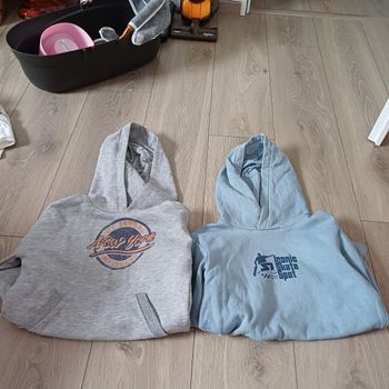 Lot 2 sweats capuche