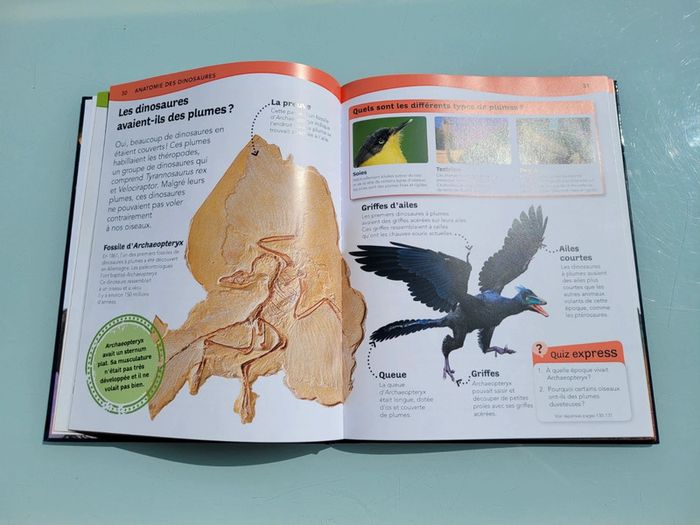 Questions ? Reponses! L'encyclopédie des dinosaures - photo numéro 6