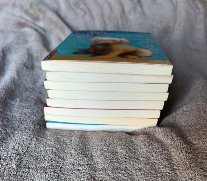 Lot 15 livres pour enfant les animaux magiques - photo numéro 7