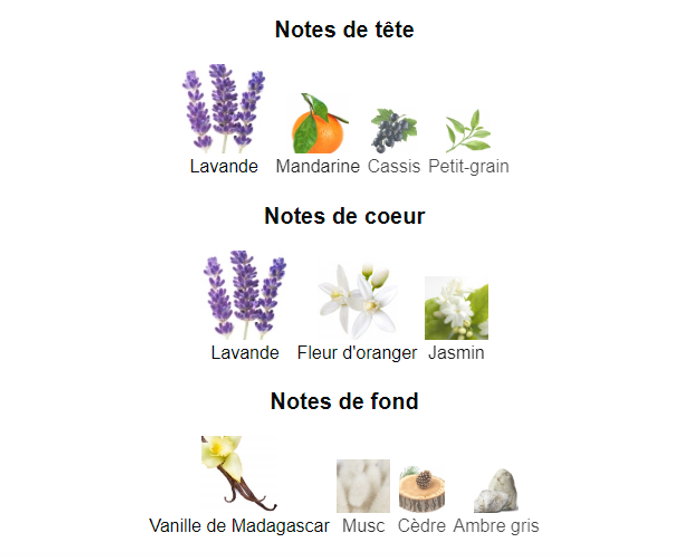 Liberty "inspiration Yves Saint Laurent Libre" Eau De Parfum pour Femme 100ml - photo numéro 4