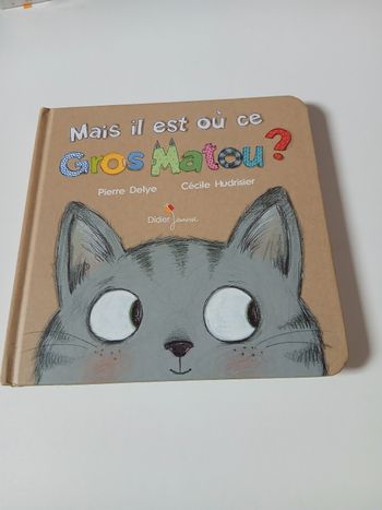 Mais il est où ce gros matou ?