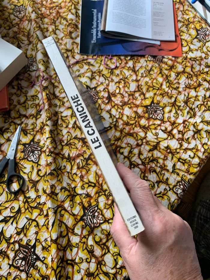 Le caniche - photo numéro 3