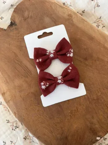 Barrettes  Iris au pays des soleils