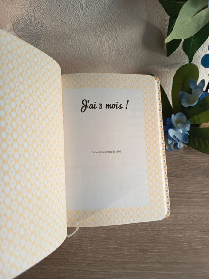 Le journal de mon bébé – Ma p’tite famille (First Éditions) - photo numéro 4