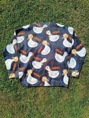Pull tricoté canard mignon L