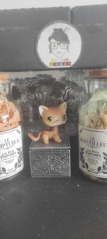 Littlest Petshop Pet Shop LPS Authentic  Authentique cat Shorthair European 19