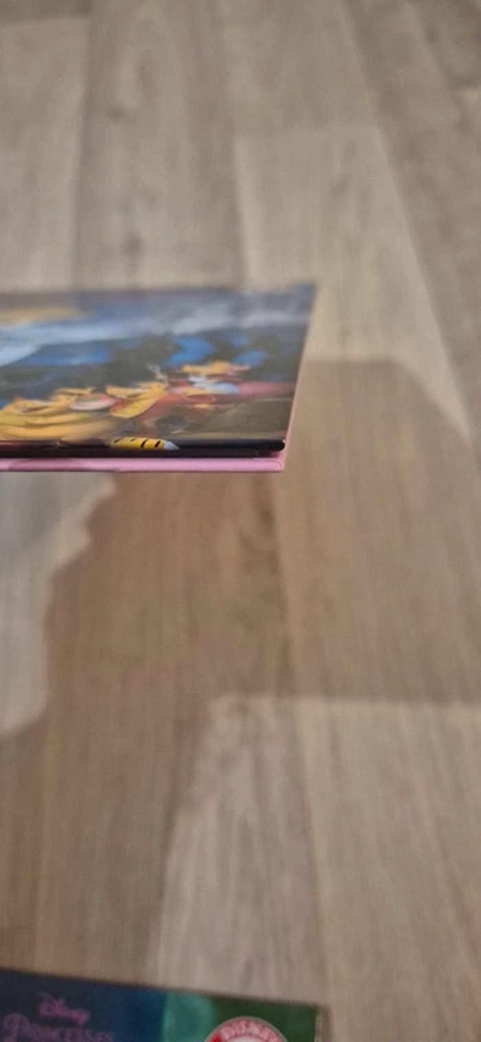 Livres - Cendrillon et Cendrillon 2 - photo numéro 9