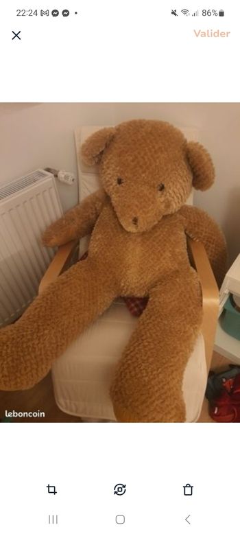 Ours peluche geante
