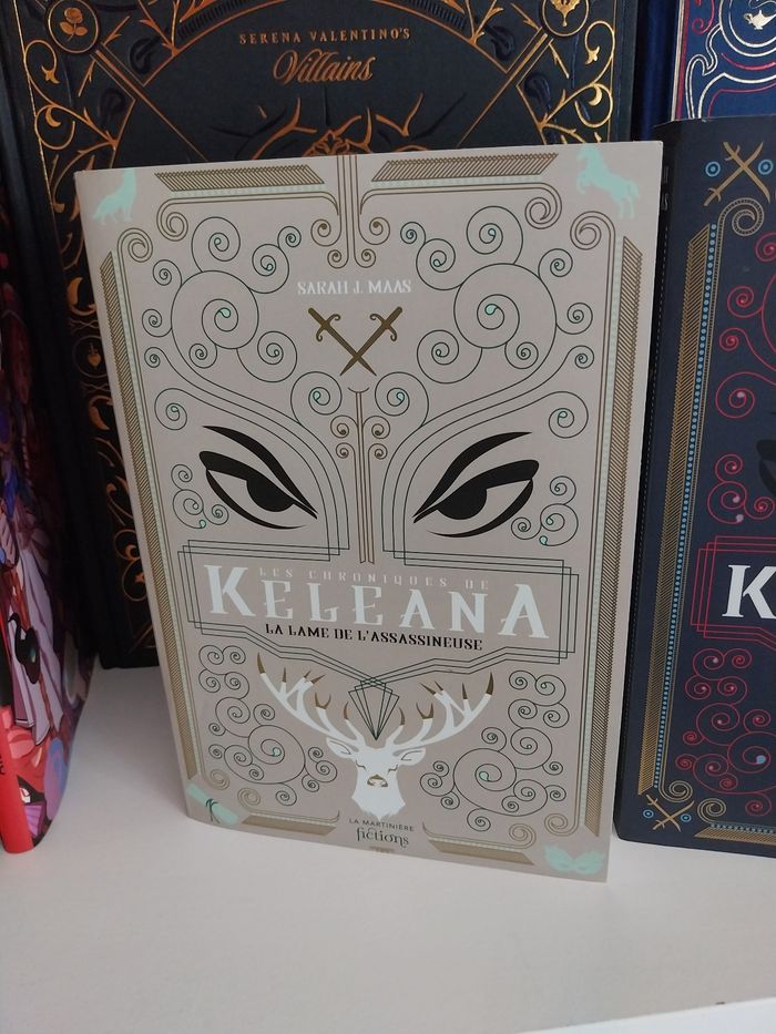 Romans Keleana tomes 0 et 1 La Lame de l'Assassineuse- Sarah J. Maas La Martinière - photo numéro 3