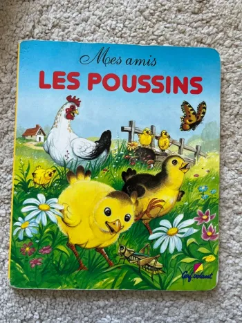 Mes amis les poussins 🐥