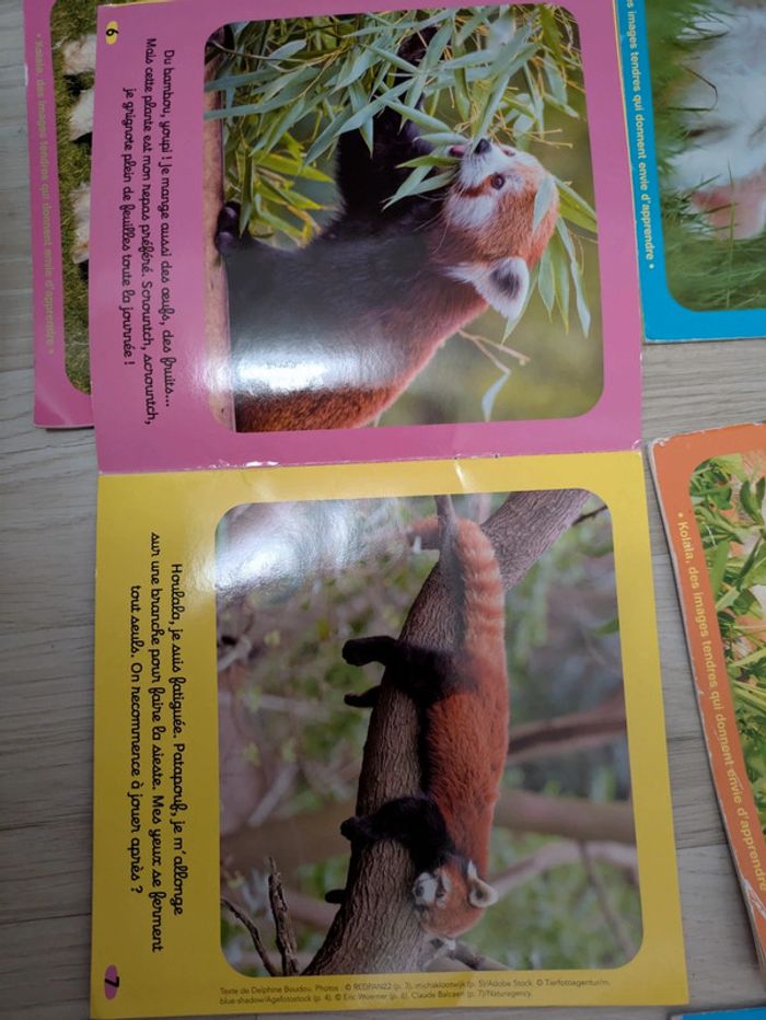 Lot de 12 magazines koala 1-4 ans et albums - photo numéro 6
