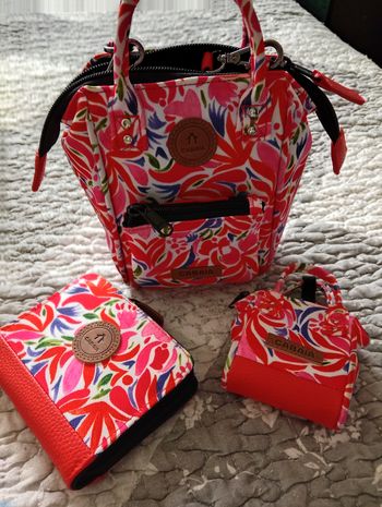 Cabaïa nano collection santonorin 