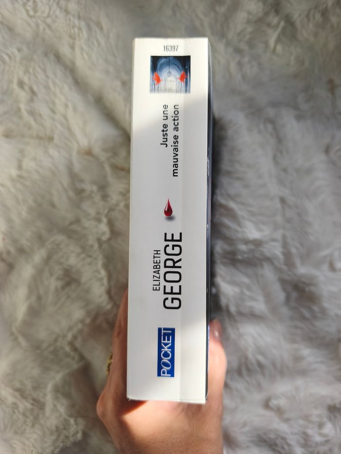 Juste une mauvaise action Elisabeth Georges - photo numéro 2