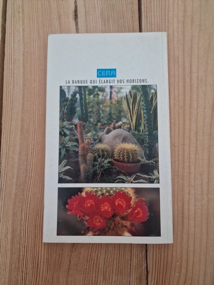 Livre Plantes Grasses et cactus courants - photo numéro 3